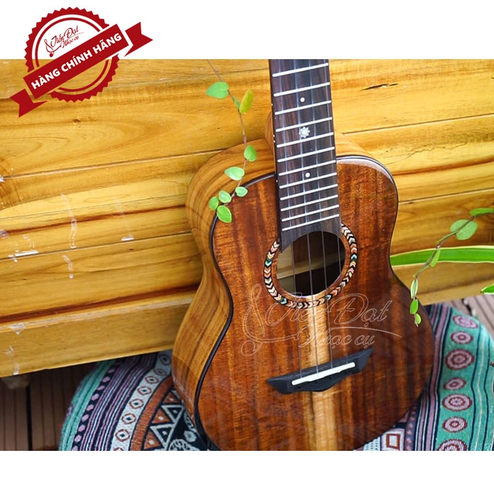 Đàn Ukulele Sqoe SQ-2410C, SQ-2420C, SQ-2430C Chế Tác Thủ Công Tỉ Mỉ, Tinh Xảo