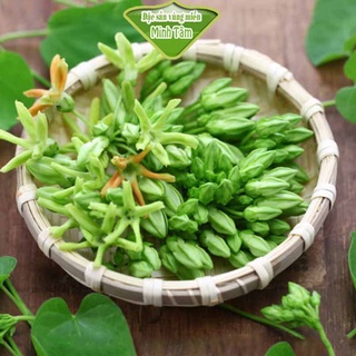 Bông Thiên Lý tươi ngon [ CHỈ GIAO TPHCM]