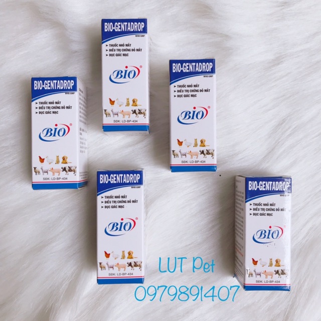 Nhỏ mắt chó mèo Bio genta drop - trị đau mắt đục giác mạc viêm đỏ ngứa vệ sinh mắt thú cưng