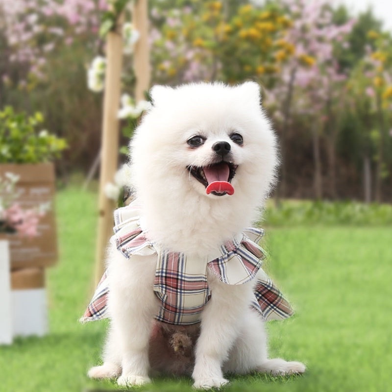 Váy Nơ Caro Xinh Xỉu Cho Thú Cưng 🥺