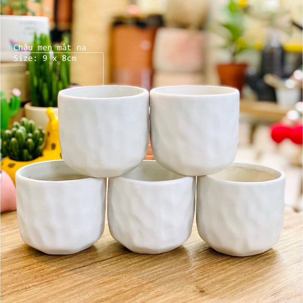 Chậu Sứ Mắt Na Bát Tràng Trồng Cây Cảnh Để Bàn, Sen Đá, Xương Rồng, tiểu cảnh terrarium