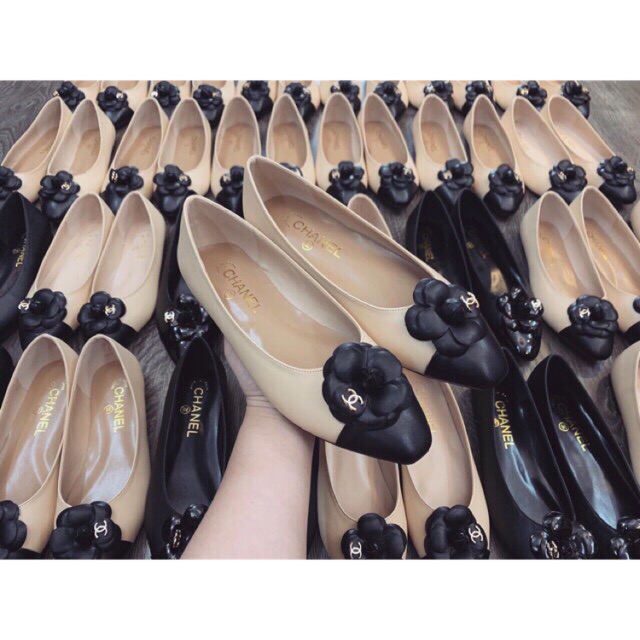 Giày bệt mũi đính Hoa trà bằng Da siêu hot