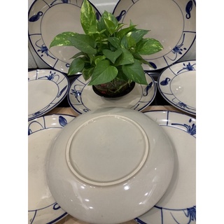 dĩa cua bao đẹp 25 cm