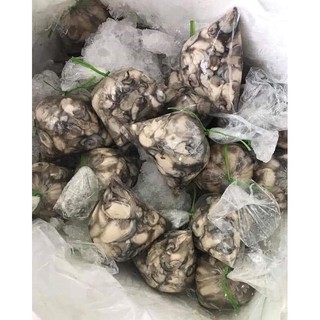 Hàu Ruột 1Kg