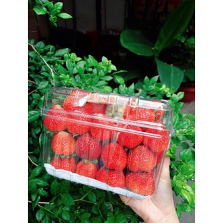 Dâu tây Đà Lạt loại 1 size đại, hộp 1kg, tặng kèm muối xí muội