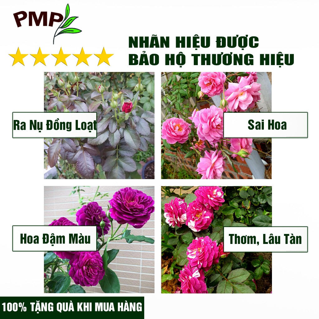 Phân SOYMIC PMP Siêu Phân Bón Ủ Vi Sinh Từ Đậu Nành, Trứng, Chuối, Humic, Vi Lượng Cho Hoa Hồng, Rau Sạch 500ml