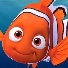 Nemo store