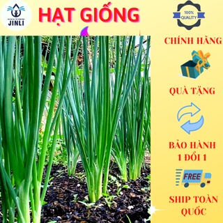 Hạt giống hành lá jl21