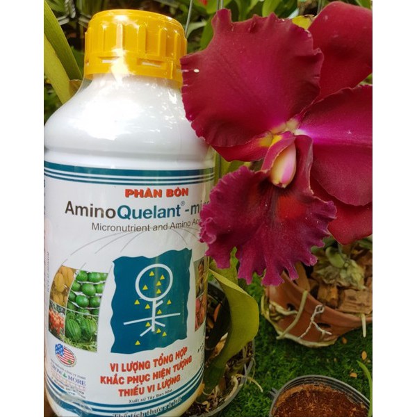 Phân bón vi lượng Amino Minor, CÓ NƯỚC (1L)