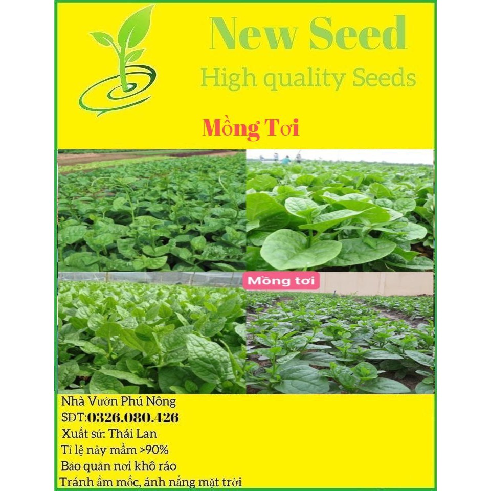Hạt Giống Rau Mồng Tơi F1 Loại Siêu Dễ Trồng kháng sâu bệnh năng xuất cao [ gói 200 gram, 500 gram, 1kg]