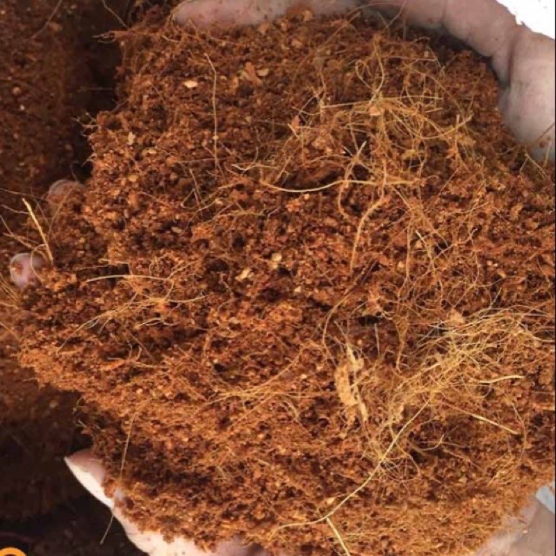 500g mụn xơ dừa
