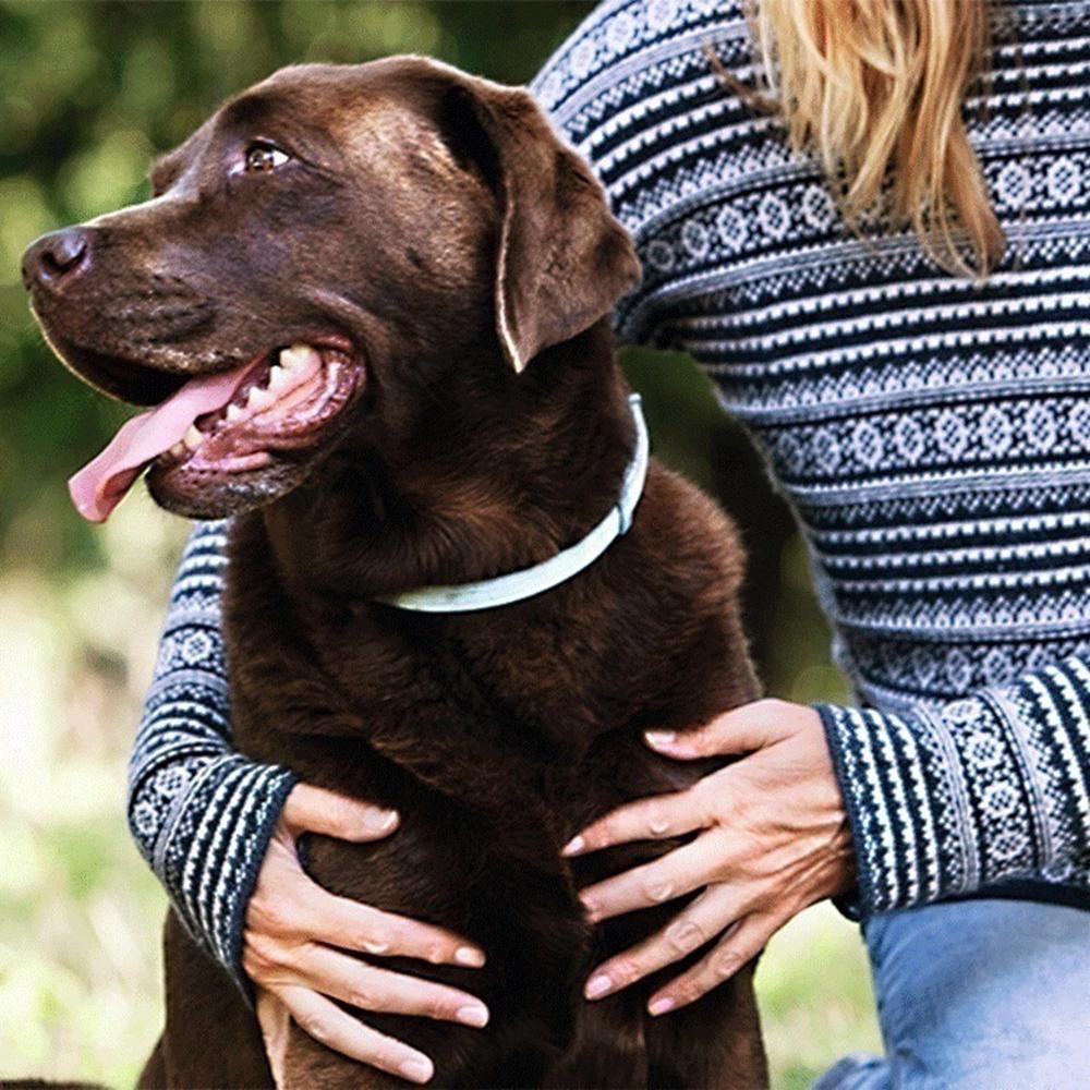 Vòng Cổ Chống Muỗi Dễ Thương Cho Thú Cưng