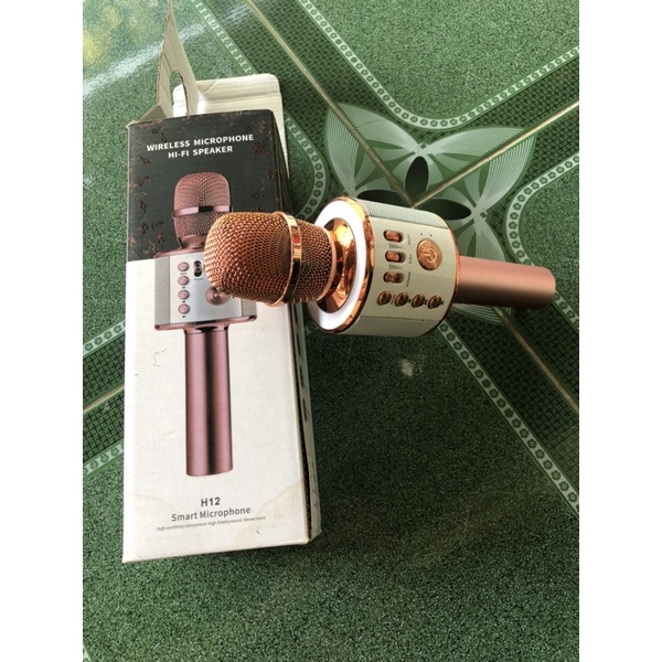 miro karaoke mini