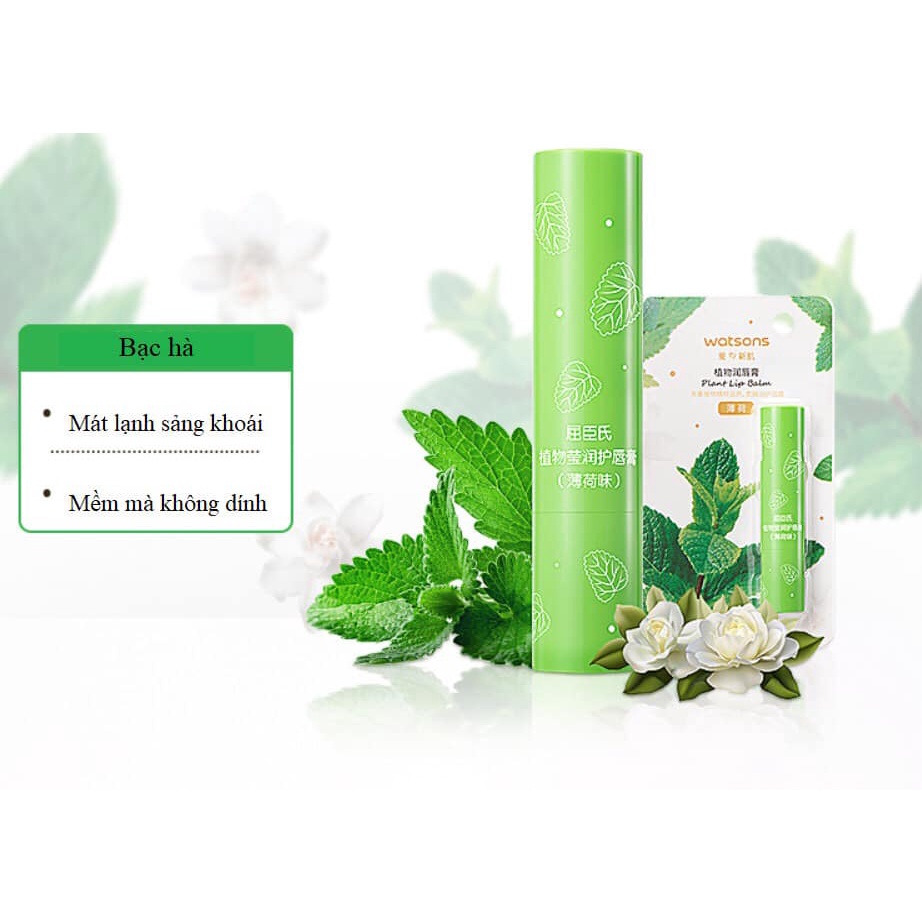 Son dưỡng môi watsons