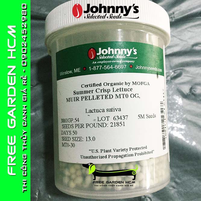 COMBO 100 HẠT GIỐNG XÀ LÁCH MUIR – Johnny’s Seed – Mỹ
