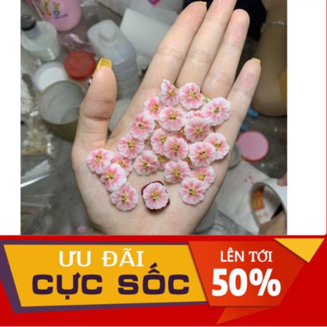 hoa hướng dương