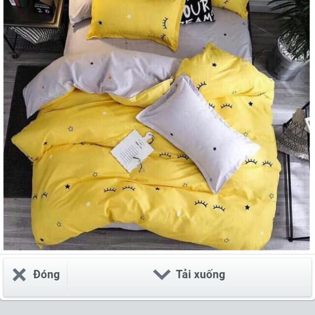 set cotton poly nhập