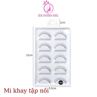 mi giả tập nối mi