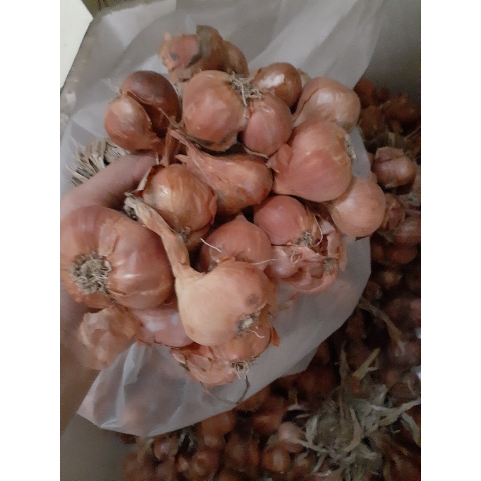 1KG Hành tím xứ Nghệ nhà trồng thơm ngon giá rẻ chỉ 55.000 1kg.giao nhanh khu vực TPHCM