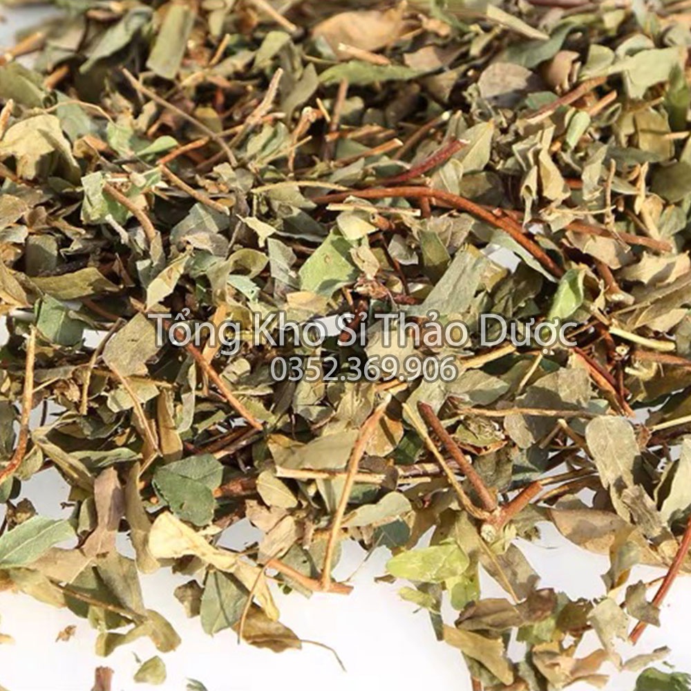 Cây kim ngân 1kg (Kim ngân cành lá, hàng loại 1, khô,sạch)