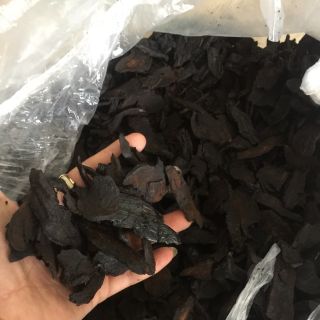 Hà thủ ô chế đỗ đen nguyên miếng