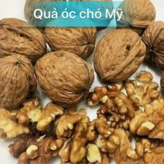 Hạt óc chó hartley