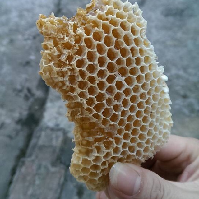 Mật ong nhãn chuẩn xịn