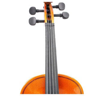 Đàn violin bằng gỗ tự nhiên
