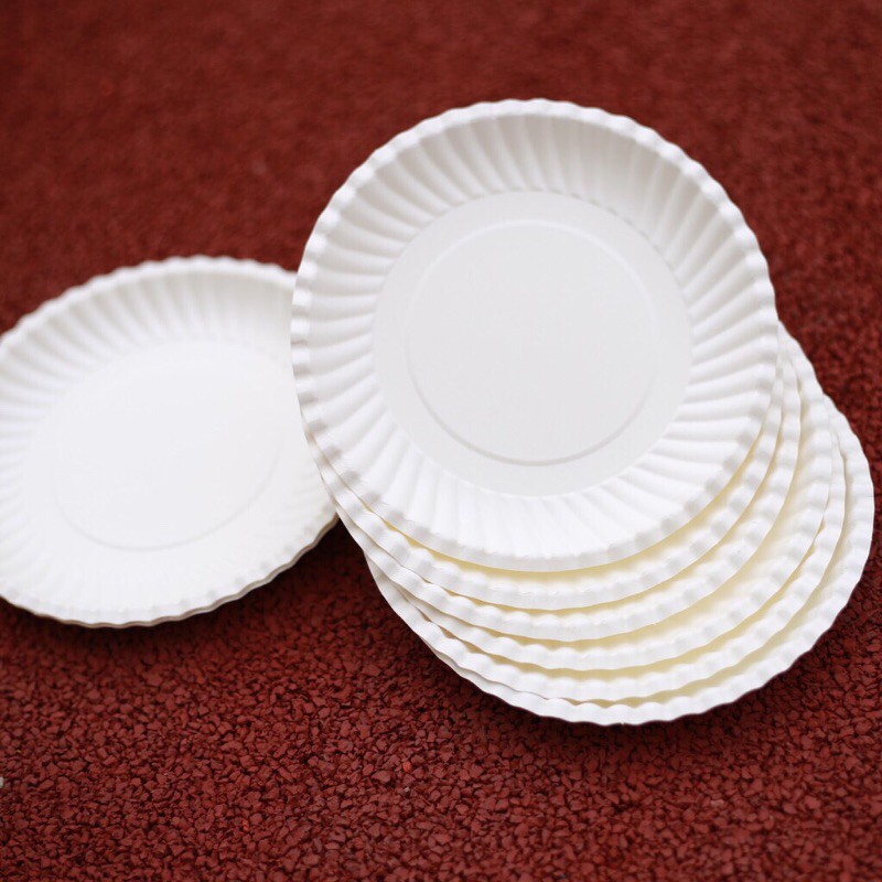 10 Dĩa giấy trắng dùng 1 lần 13cm&amp;16cm