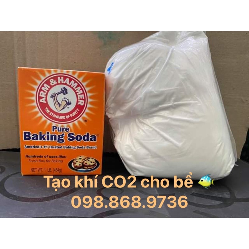 Combo tạo khí cho bể cá gồm Banking soda và bột chanh