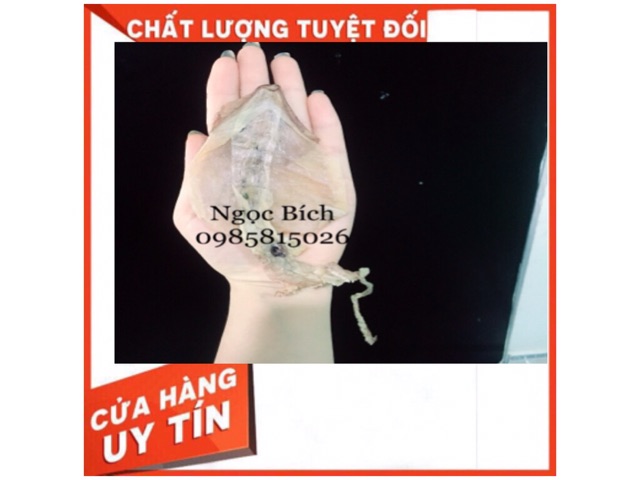 Combo 1kg mực khô nhỡ + 5 con mực khô size đại | BigBuy360 - bigbuy360.vn