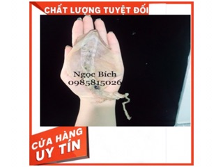 1kg mực khô mini size nhỡ
