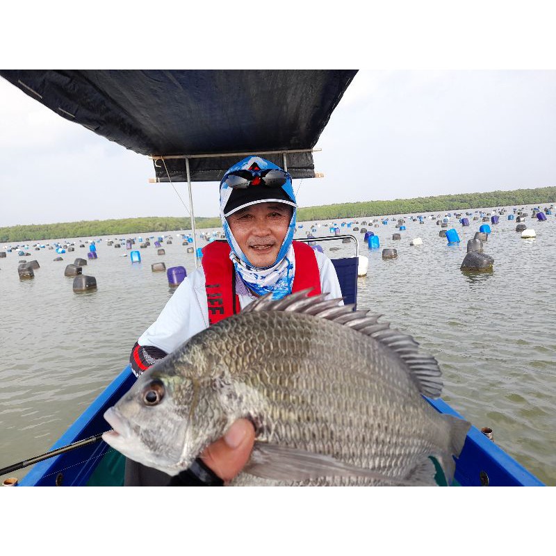 Mồi xả dụ cá tráp . Sea bream fishing