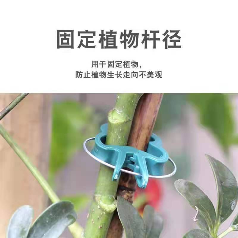 Kẹp Hỗ Trợ Cành Cây Leo Tiện Dụng Cho Sân Vườn