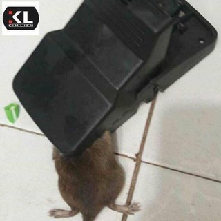 5 Cái Bẫy Chuột Siêu Đẳng