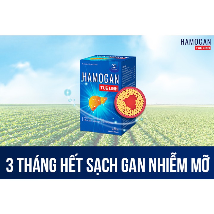 Hamogan Tuệ Linh | Giúp giảm mỡ máu, mỡ gan, giải độc gan, tăng cường chức năng gan