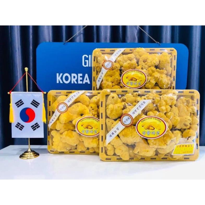 Nấm Thượng Hoàng Vàng Cao Cấp Hàn Quốc, Khay 500g
