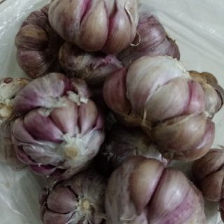 Tỏi Tía  500gr