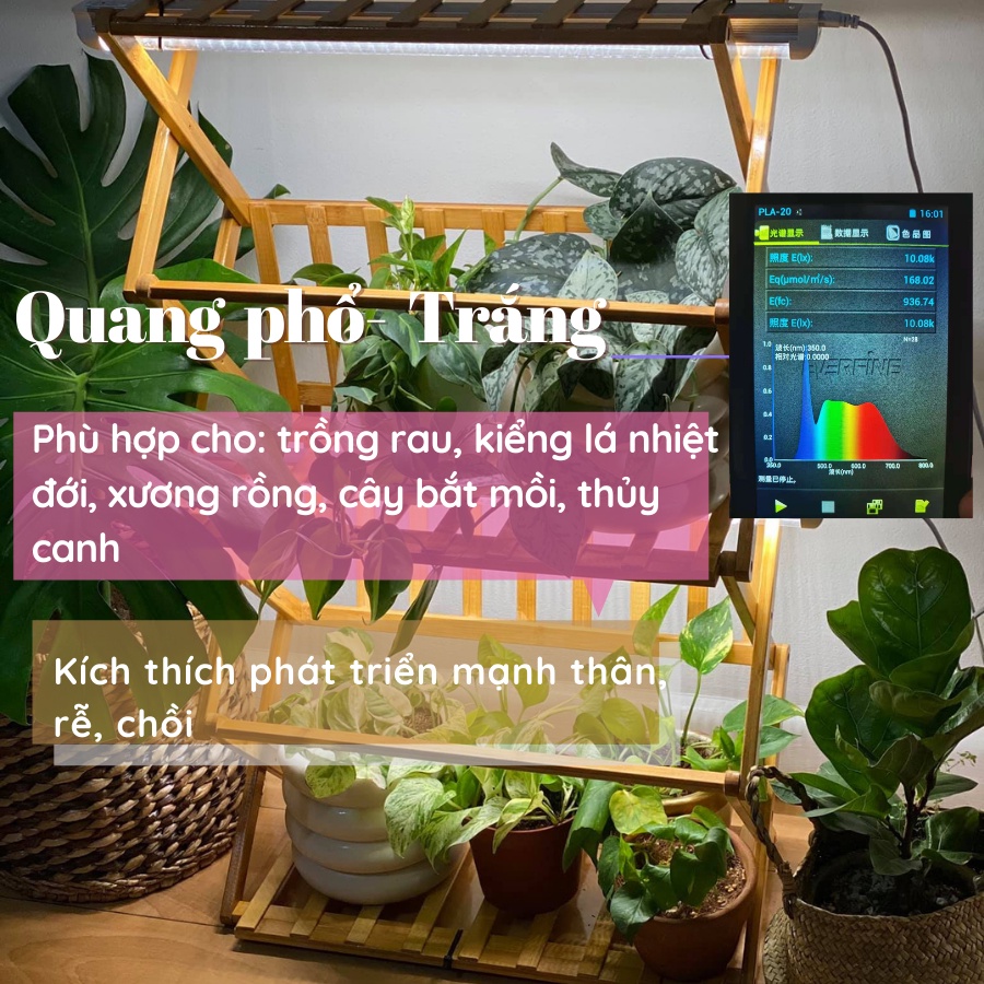 Đèn LED Kích Thích Tăng Trưởng Cho Cây Trồng DELPONTING T1200 LED 36W, Đèn Quang Hợp Trồng Cây Trong Nhà