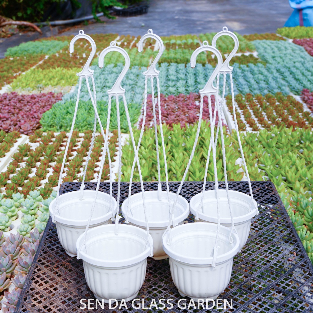 Chậu nhựa treo màu trắng 8x8cm GLASS GARDEN, có móc treo, dày dặn, thoát nước tốt