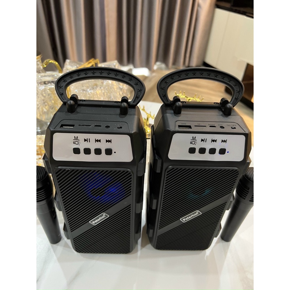 Loa Bluetooth Tặng Kèm Mic PTH2322 - Led Theo Nhạc, Bass Hay - Bảo Hành 6 Tháng