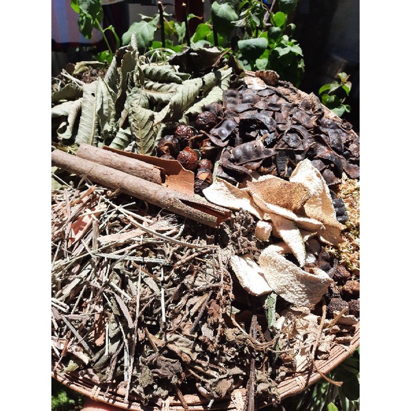 ENZYEM THẢO DƯỢC GỘI ĐẦU BỒ KẾT NHÀ LÀM.