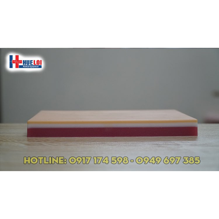 Mô hình thực hành tiêm tĩnh mạch. Mô hình thực tập lấy ven