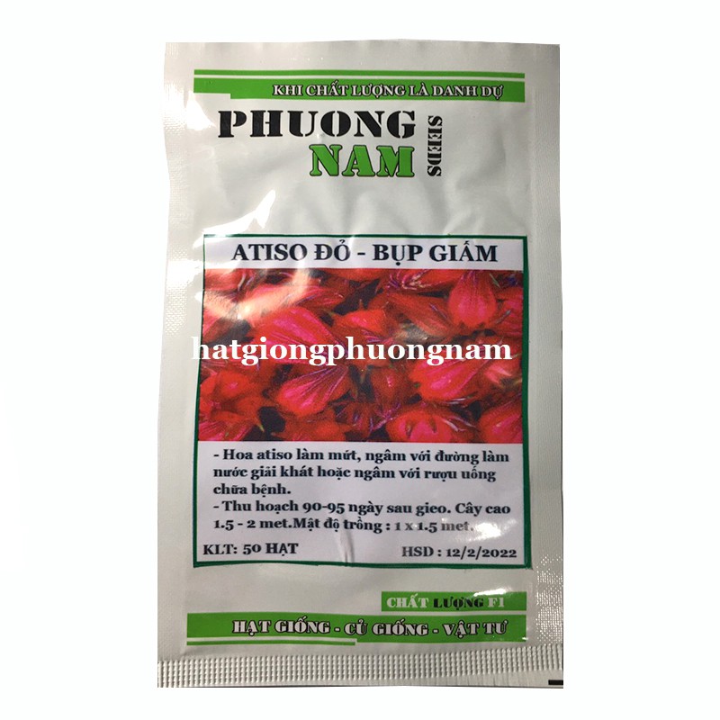 50 H - HẠT GIỐNG ATISO ĐỎ (BỤP GIẤM)