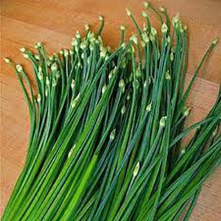 5 gram hạt giống rau hẹ bông
