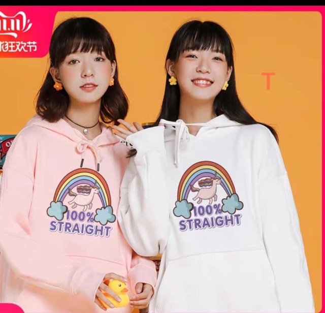 [FREESHIP ĐƠN TỪ 50K] Áo hoodie ngựa cầu vồng 100 DTR1119