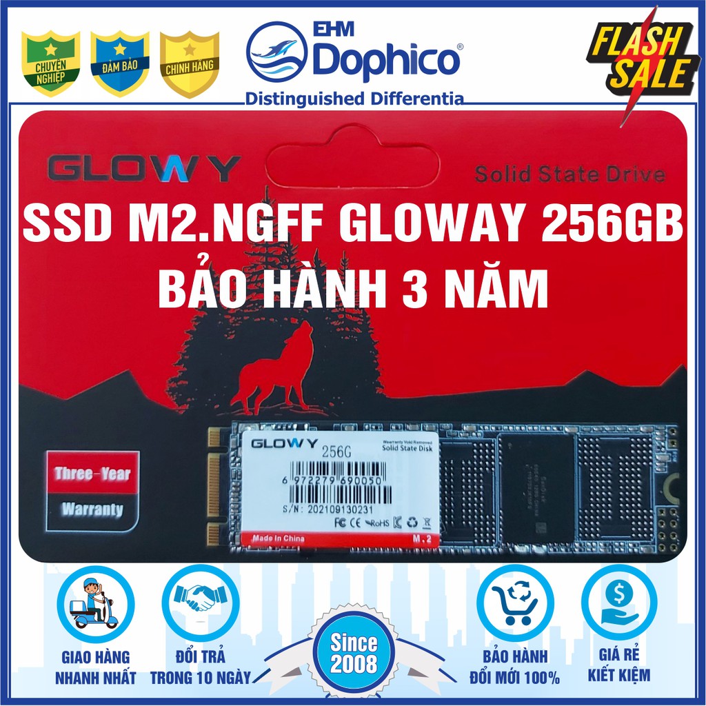 Ổ cứng SSD M2.NGFF Gloway 256GB (SATA III) – CHÍNH HÃNG – Bảo hành 3 năm