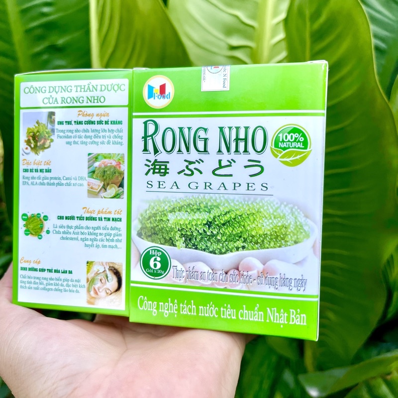 Rong nho Tách nước - SEA GRAPES