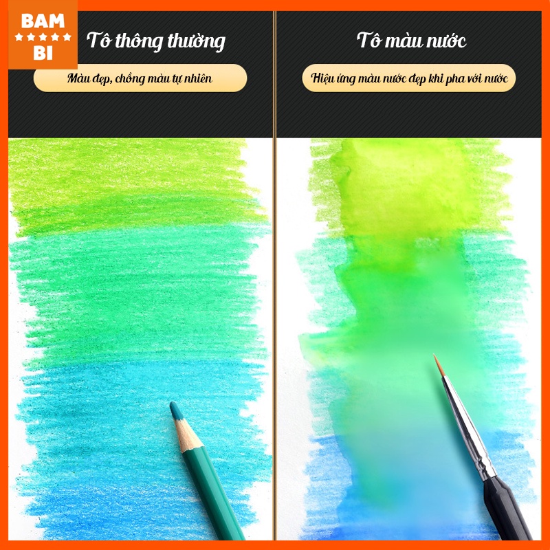 Bút chì màu gốc dầu cao cấp Bambi gỗ tự nhiên 24/36màu thích hợp cho vẽ chuyên nghiệp, thiết kế, phác họa