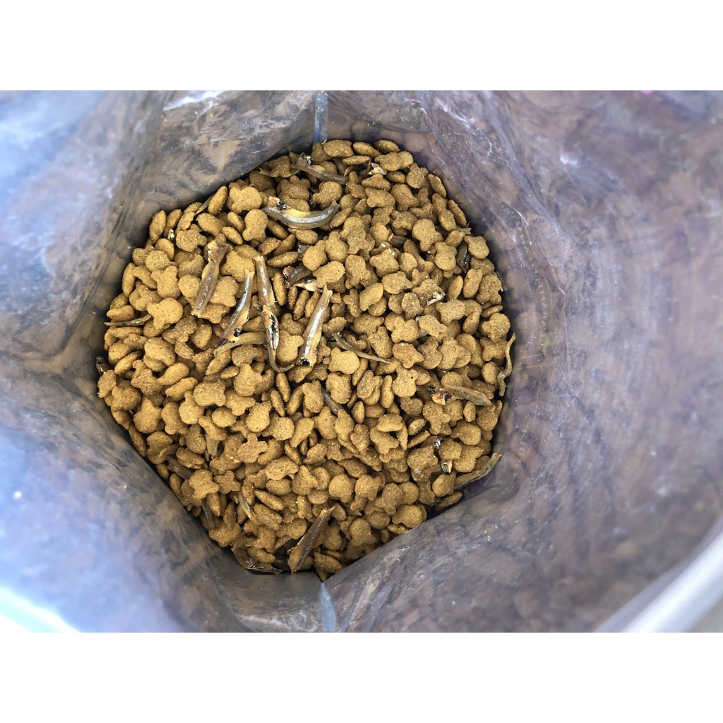 Thức Ăn Hạt Cho Mèo Aatas Cat Gold 1.2kg có topping cá cơm sấy | Hạt mèo cá cơm sấy mix 1.2kg